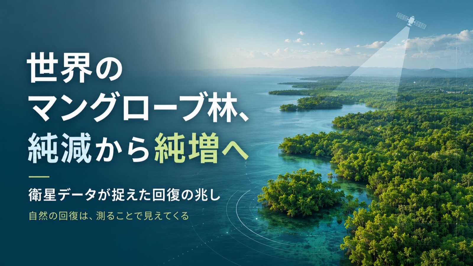 ネイチャーポジティブ×マングローブ回復×衛星モニタリング 図版1
